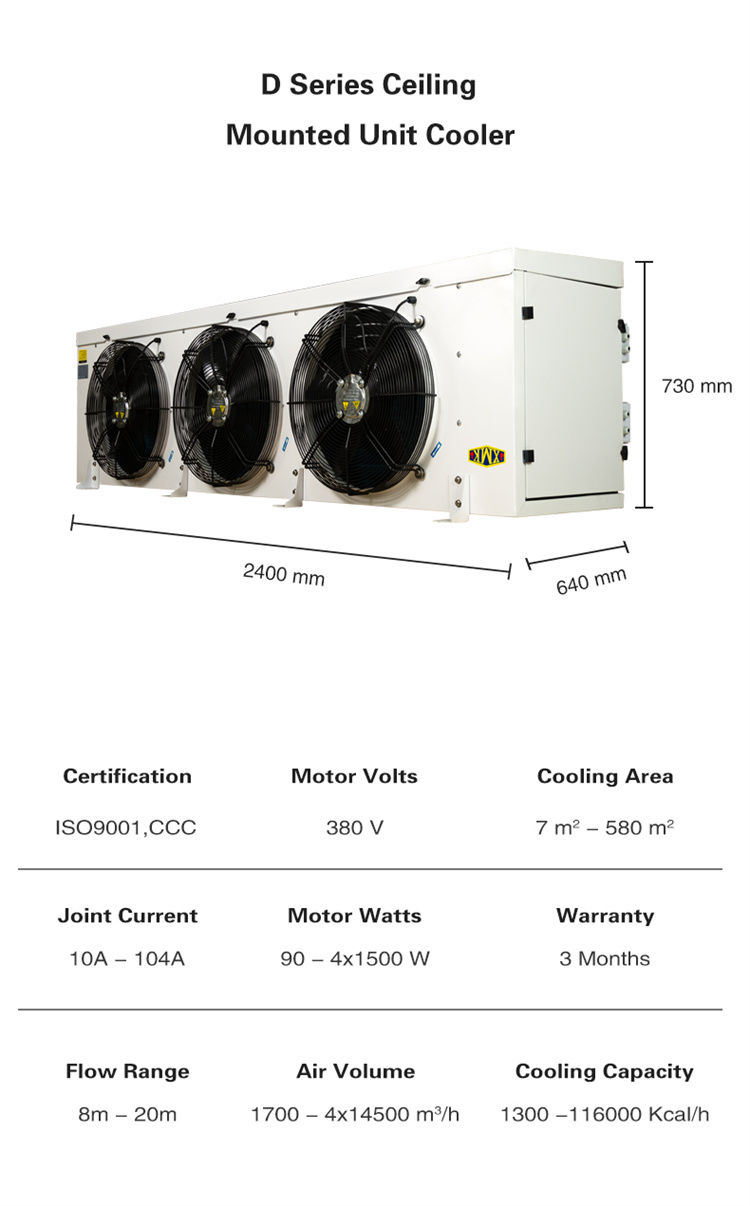 1621828636828193.jpg 3 fans 2.jpg