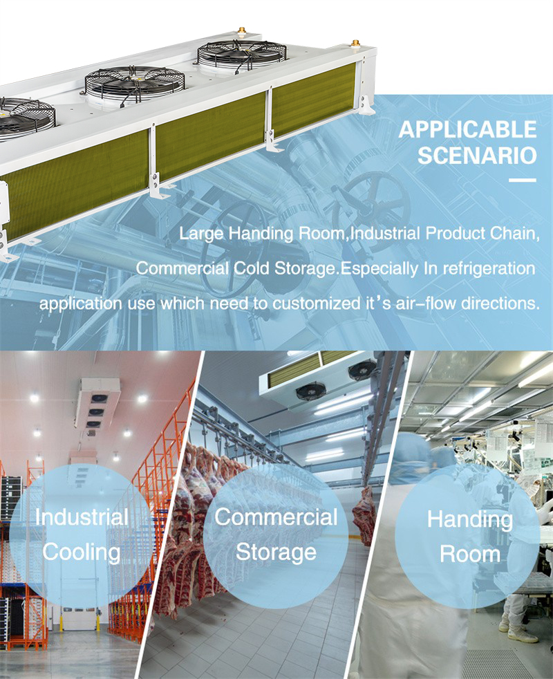 1683775016521738.jpg IBD01 (2).jpg