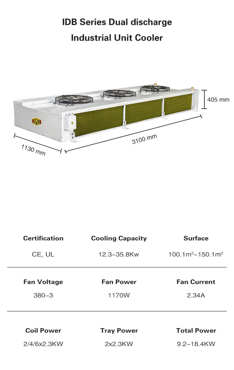 1683775102965310.jpg IBD01 (1).jpg