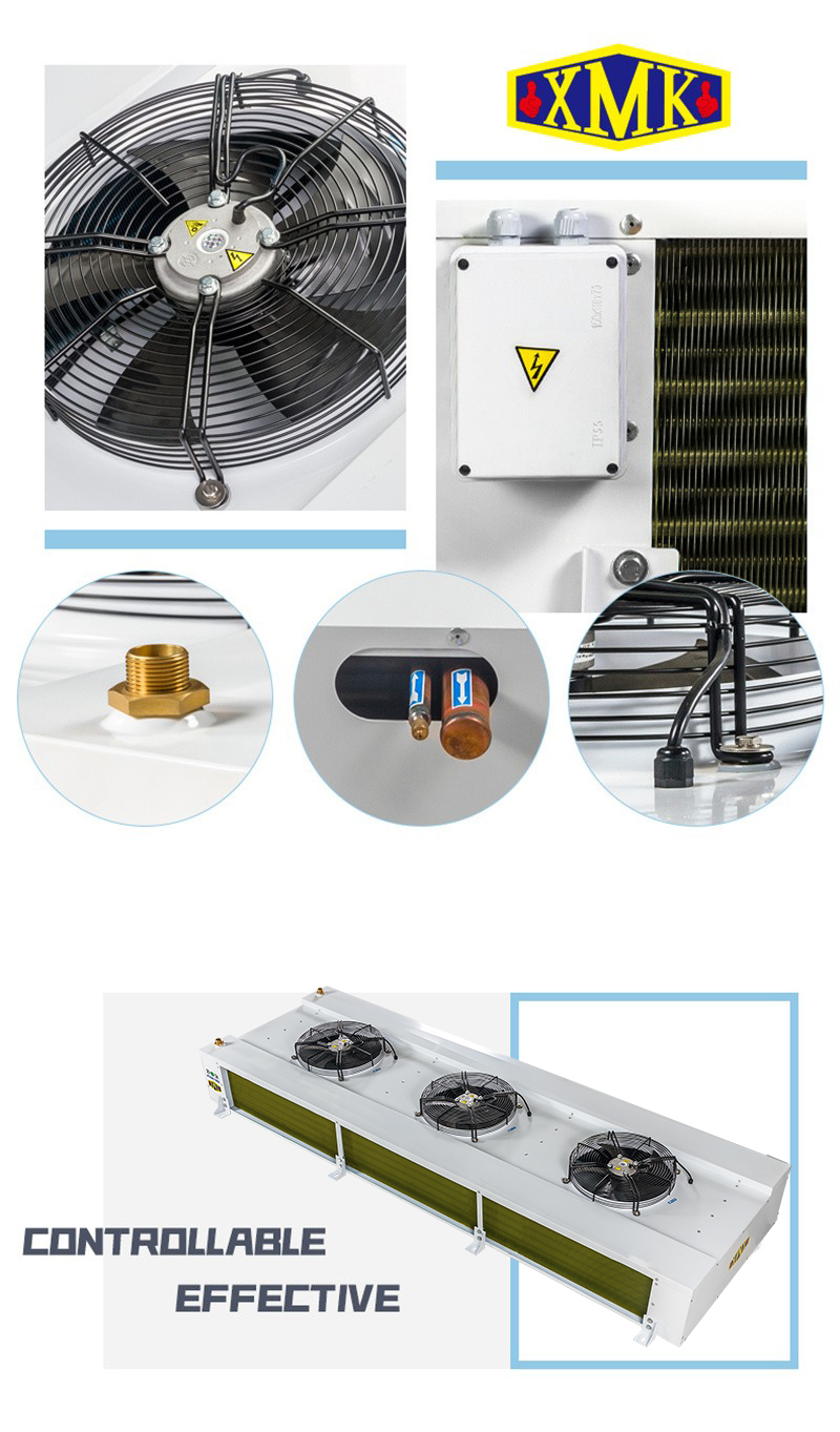 1683775122638876.jpg IBD01 (3).jpg