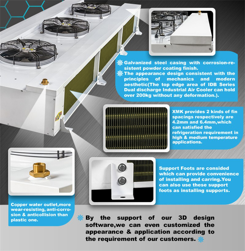 1683775127312813.jpg IBD01 (4).jpg