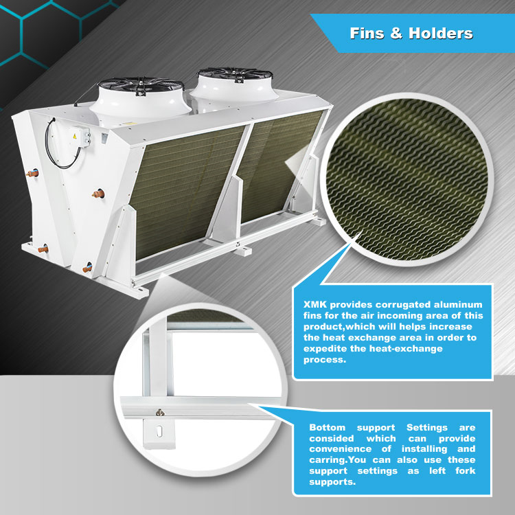 1683785632713008.jpg RVC01.jpg