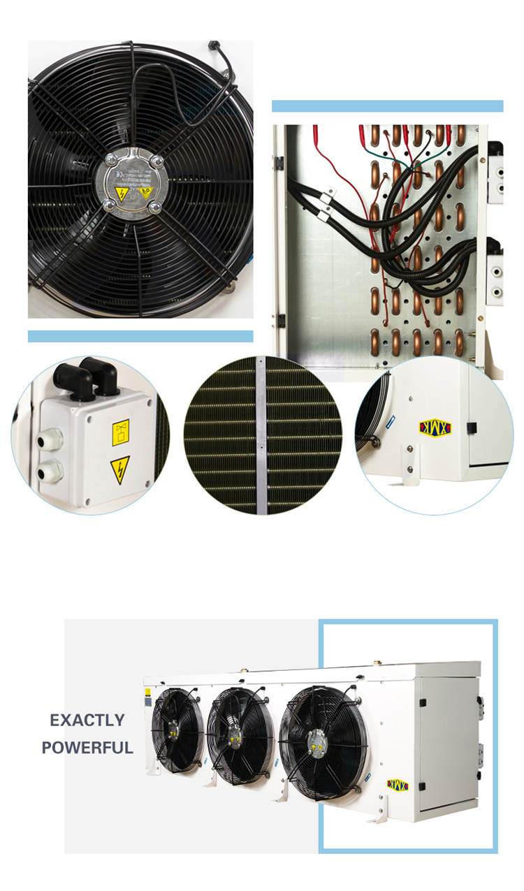 1683786165891754.jpg ND.jpg